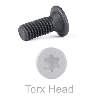 Set of 10 Replacement Screws for LuxCut III Heads